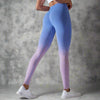 Seamless Gradient Leggings